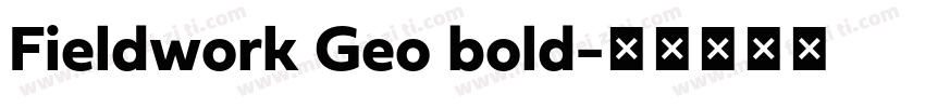 Fieldwork Geo bold字体转换